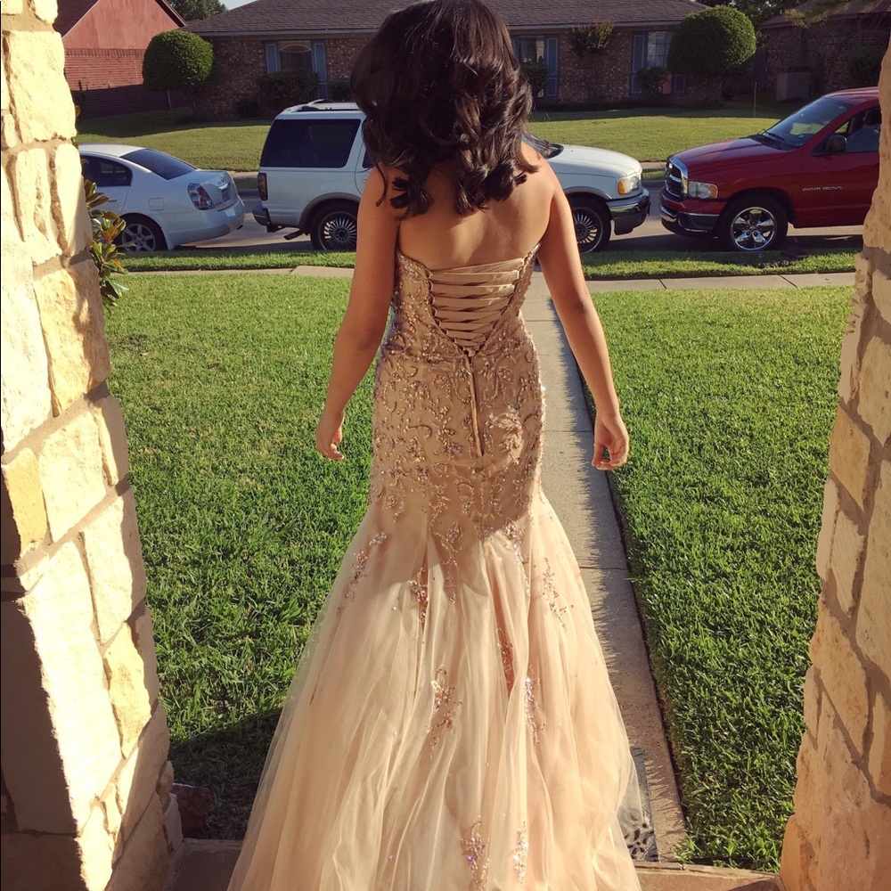Paparazzi Champagne Mermaid Dress